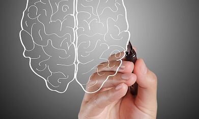 记忆力减退的原因